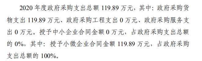 政府采购支出情况说明.png